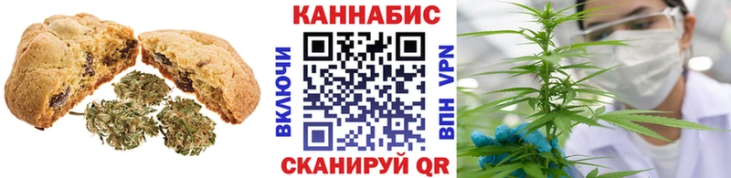 hydra ТОР  где продают наркотики  Алейск  Cannafood конопля 