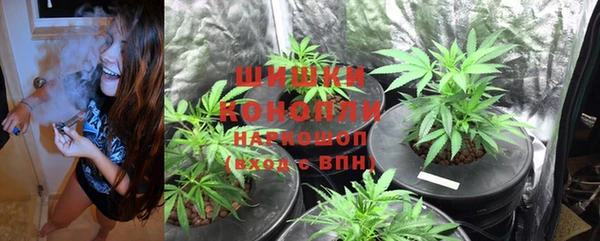 тгк Осташков