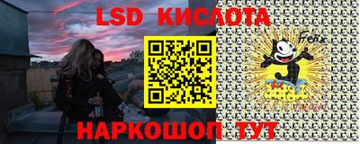 mdma Гатчина