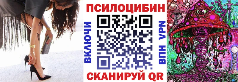 где найти Алейск Галлюциногенные грибы прущие грибы