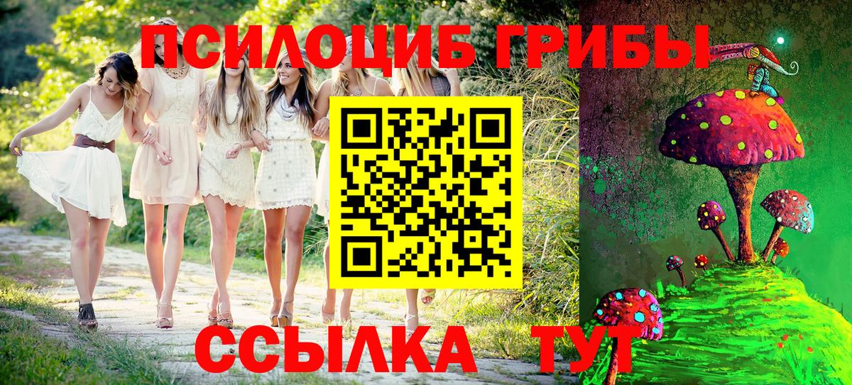 Псилоцибиновые грибы Cubensis Алейск