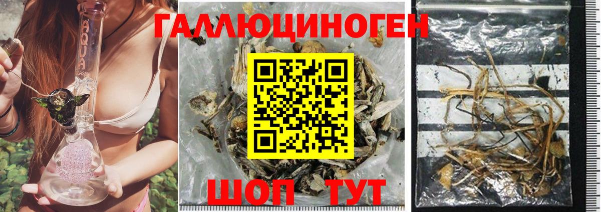 Псилоцибиновые грибы ЛСД Алейск