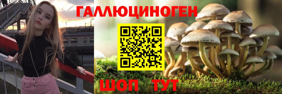 Псилоцибиновые грибы GOLDEN TEACHER  Вход с VPN  Галлюциногенные грибы GOLDEN TEACHER  Алейск 