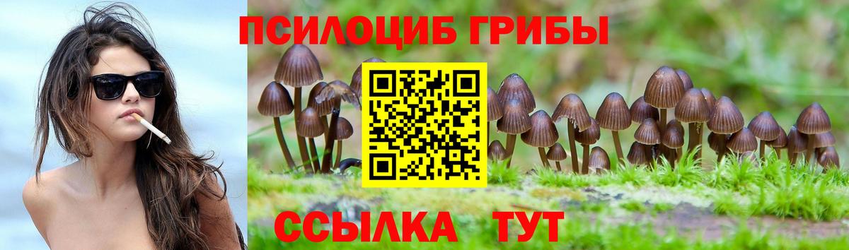 Алейск  Псилоцибиновые грибы GOLDEN TEACHER  Вход с VPN  Псилоцибиновые грибы мицелий 