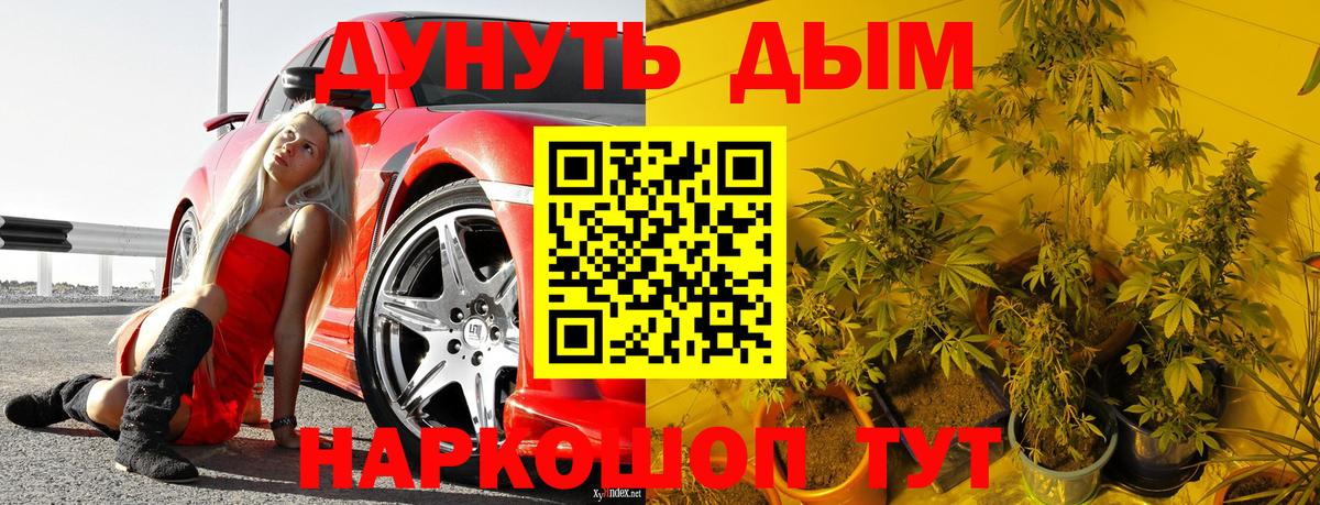  COCAIN Алейск